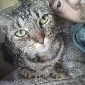 Meet your Posher, Jesse